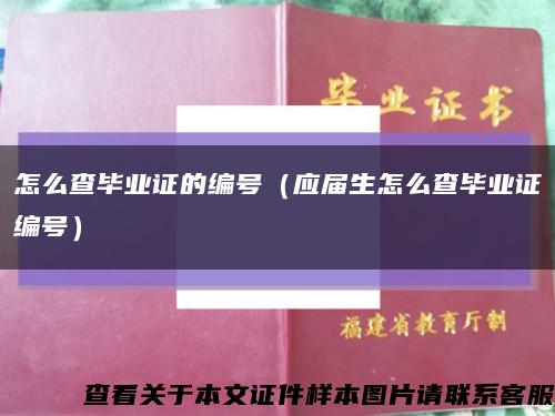 怎么查毕业证的编号（应届生怎么查毕业证编号）缩略图