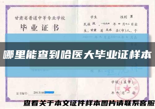 哪里能查到哈医大毕业证样本缩略图