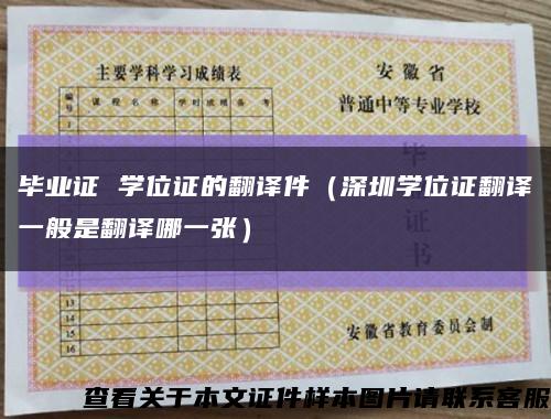 毕业证 学位证的翻译件（深圳学位证翻译一般是翻译哪一张）缩略图