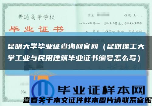 昆明大学毕业证查询网官网（昆明理工大学工业与民用建筑毕业证书编号怎么写）缩略图