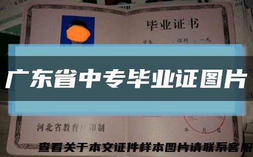广东省中专毕业证图片缩略图