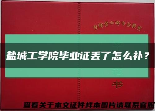 盐城工学院毕业证丢了怎么补？缩略图