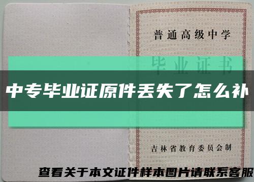 中专毕业证原件丢失了怎么补缩略图