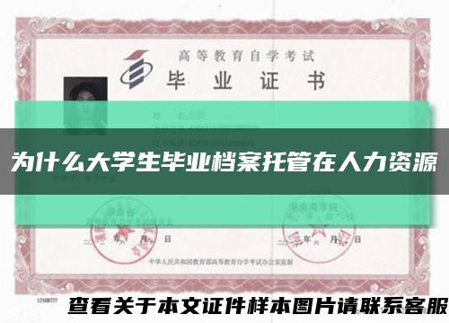 为什么大学生毕业档案托管在人力资源缩略图