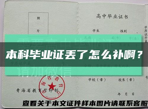 本科毕业证丢了怎么补啊？缩略图