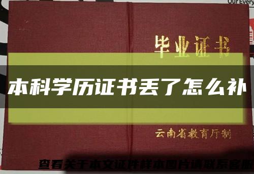 本科学历证书丢了怎么补缩略图