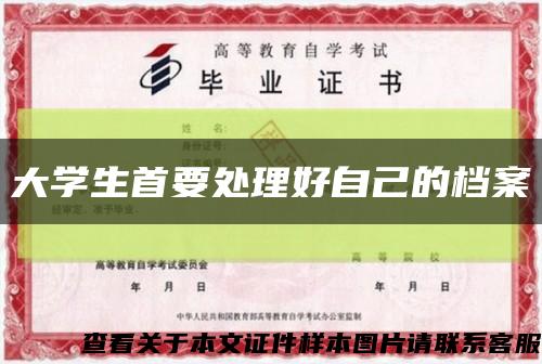 大学生首要处理好自己的档案缩略图