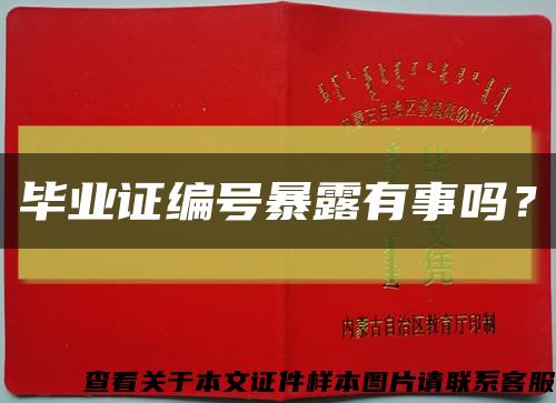 毕业证编号暴露有事吗？缩略图