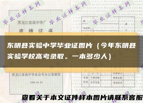 东明县实验中学毕业证图片（今年东明县实验学校高考录取。一本多少人）缩略图