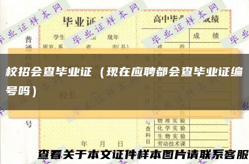 校招会查毕业证（现在应聘都会查毕业证编号吗）缩略图