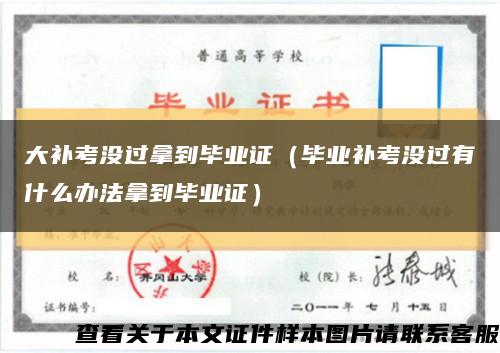 大补考没过拿到毕业证（毕业补考没过有什么办法拿到毕业证）缩略图