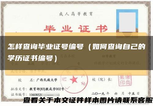 怎样查询毕业证号编号（如何查询自己的学历证书编号）缩略图