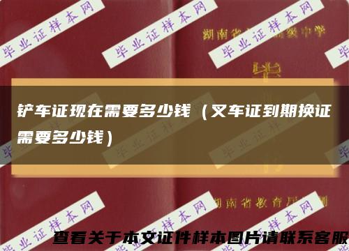 铲车证现在需要多少钱（叉车证到期换证需要多少钱）缩略图