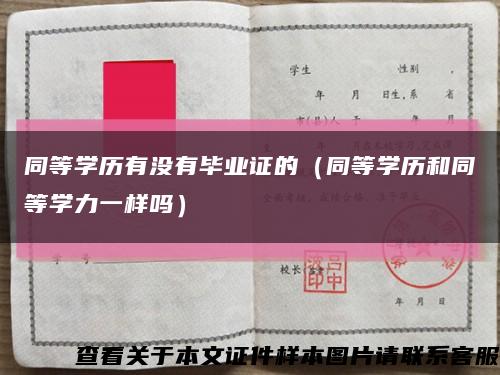 同等学历有没有毕业证的（同等学历和同等学力一样吗）缩略图