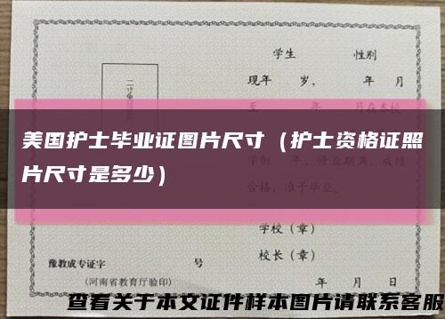 美国护士毕业证图片尺寸（护士资格证照片尺寸是多少）缩略图