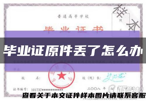 毕业证原件丢了怎么办缩略图