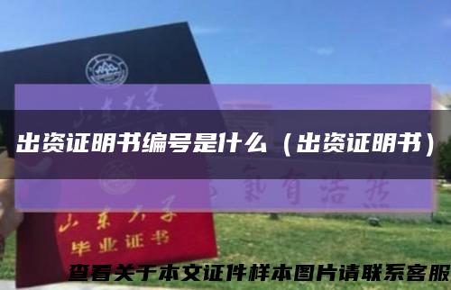 出资证明书编号是什么（出资证明书）缩略图