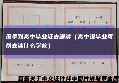 没拿到高中毕业证去哪读（高中没毕业可以去读什么学校）缩略图