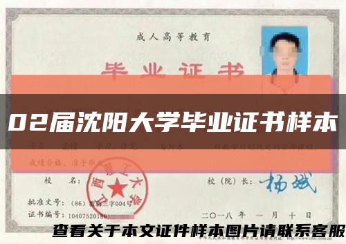 02届沈阳大学毕业证书样本缩略图