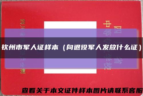 钦州市军人证样本（向退役军人发放什么证）缩略图