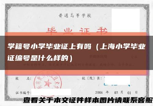 学籍号小学毕业证上有吗（上海小学毕业证编号是什么样的）缩略图