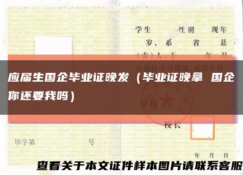 应届生国企毕业证晚发（毕业证晚拿 国企你还要我吗）缩略图