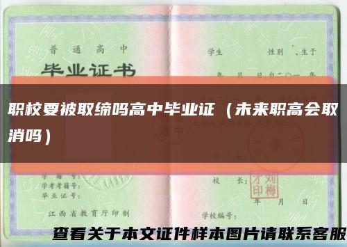 职校要被取缔吗高中毕业证（未来职高会取消吗）缩略图