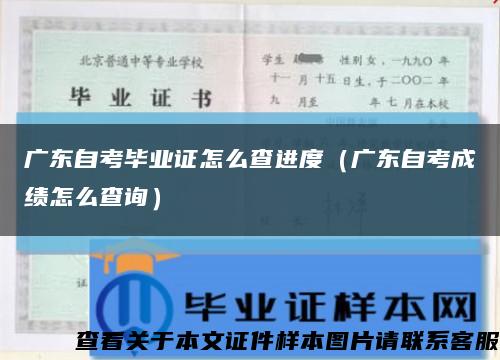 广东自考毕业证怎么查进度（广东自考成绩怎么查询）缩略图