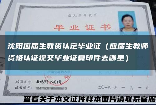 沈阳应届生教资认定毕业证（应届生教师资格认证提交毕业证复印件去哪里）缩略图