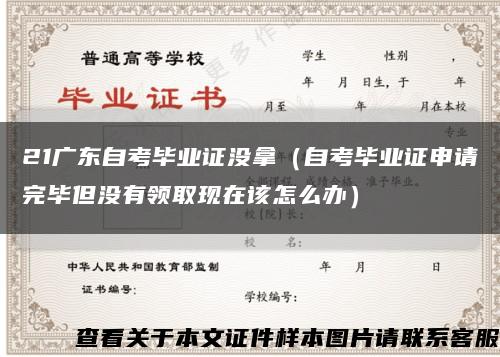 21广东自考毕业证没拿（自考毕业证申请完毕但没有领取现在该怎么办）缩略图