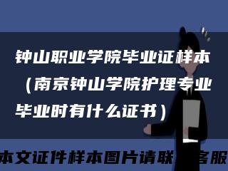 钟山职业学院毕业证样本（南京钟山学院护理专业毕业时有什么证书）缩略图