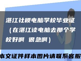 湛江社稷电脑学校毕业证（在湛江读电脑去那个学校好啊 很急啊）缩略图