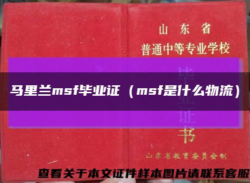 马里兰msf毕业证（msf是什么物流）缩略图