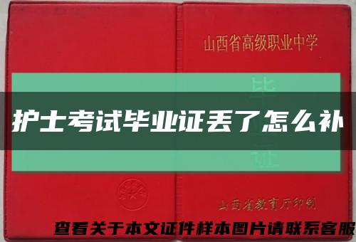 护士考试毕业证丢了怎么补缩略图