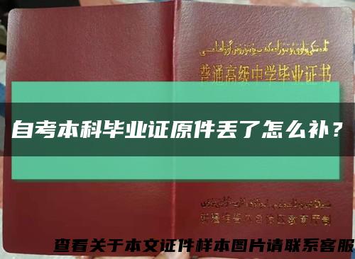 自考本科毕业证原件丢了怎么补？缩略图
