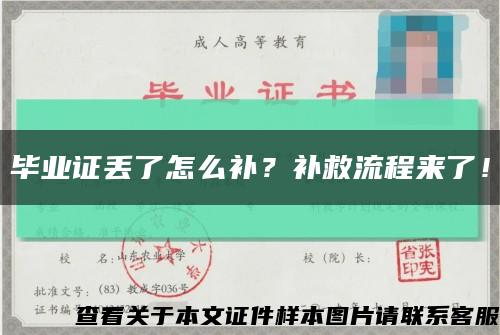 毕业证丢了怎么补？补救流程来了！缩略图