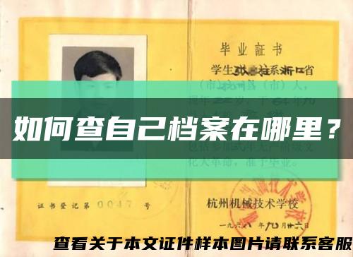 如何查自己档案在哪里？缩略图