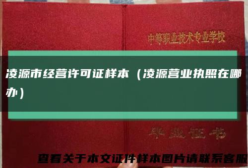 凌源市经营许可证样本（凌源营业执照在哪办）缩略图
