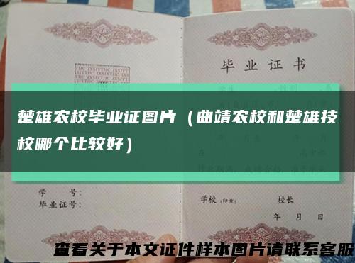 楚雄农校毕业证图片（曲靖农校和楚雄技校哪个比较好）缩略图
