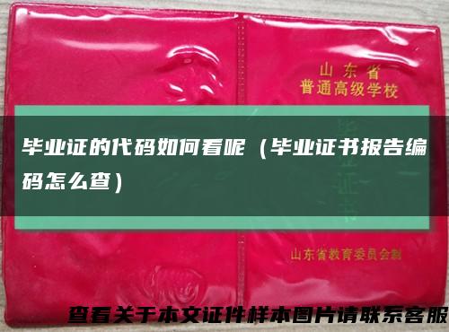 毕业证的代码如何看呢（毕业证书报告编码怎么查）缩略图