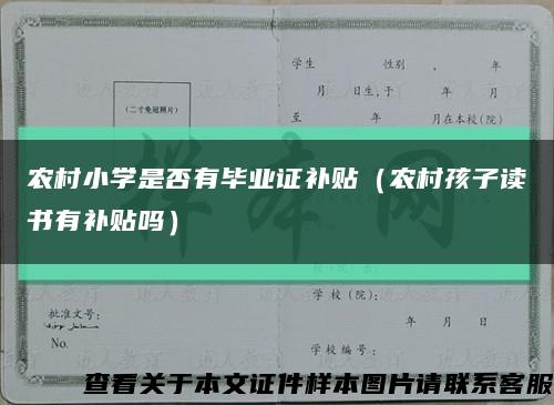 农村小学是否有毕业证补贴（农村孩子读书有补贴吗）缩略图