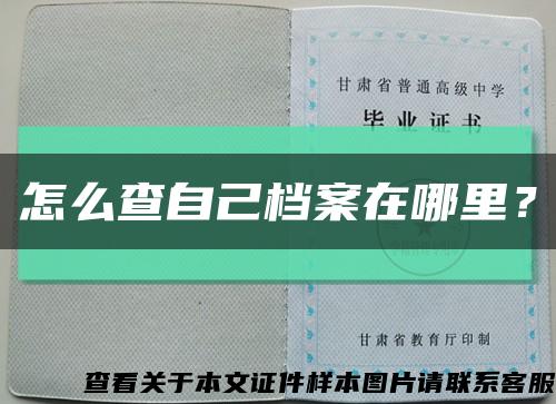 怎么查自己档案在哪里？缩略图