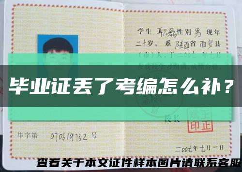 毕业证丢了考编怎么补？缩略图