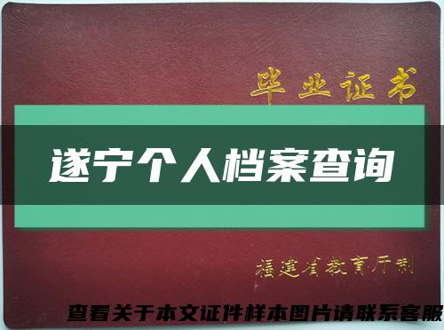 遂宁个人档案查询缩略图