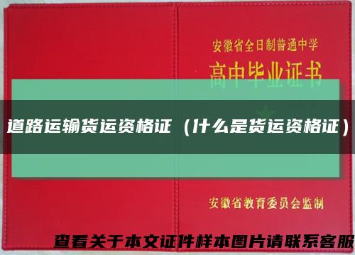 道路运输货运资格证（什么是货运资格证）缩略图
