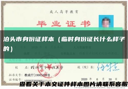 泊头市身份证样本（临时身份证长什么样子的）缩略图