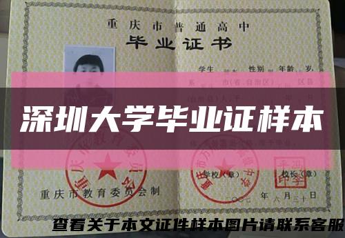 深圳大学毕业证样本缩略图