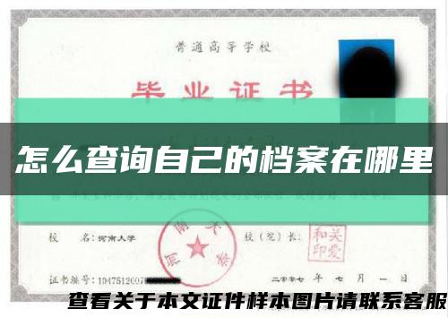 怎么查询自己的档案在哪里缩略图