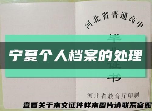 宁夏个人档案的处理缩略图