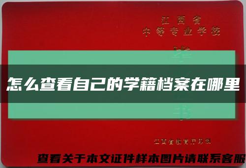 怎么查看自己的学籍档案在哪里缩略图